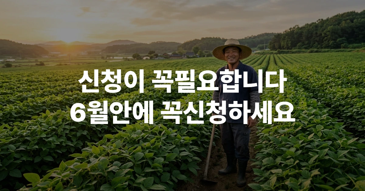 파주 장단콩 생산이력제 신청 방법 안내 - 2026년 6월 신청 접수 중인 파주 장단콩 밭 전경