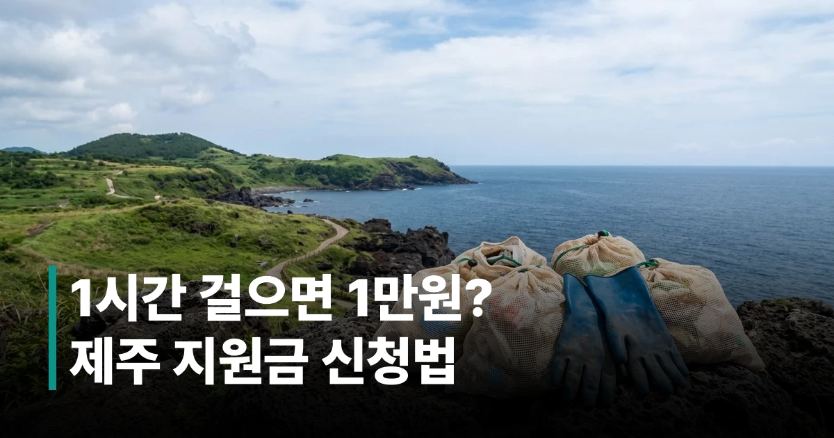 제주 해안가에 놓인 플로깅 장갑·쓰레기 봉투와 제주 자연 풍경
