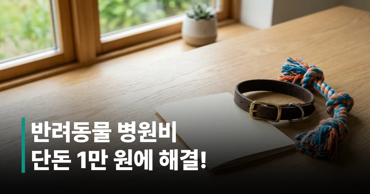 서울시 노인 반려동물 돌봄 지원 신청 대상이 될 수 있는 귀여운 강아지와 건강 검진 수첩