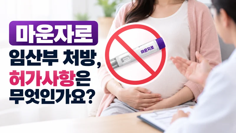 마운자로 임산부 처방, 허가사항은 무엇인가요?