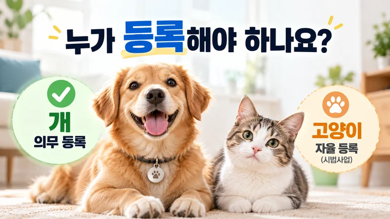 누가 등록해야 하나요?